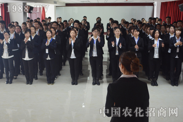 一個故事,兩種結局