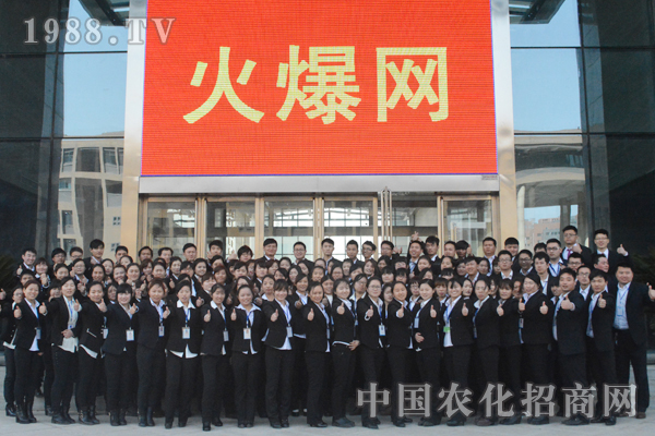 團隊精神:不可缺少的協作
