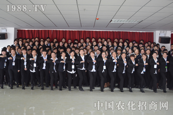 團隊協作,全力以赴
