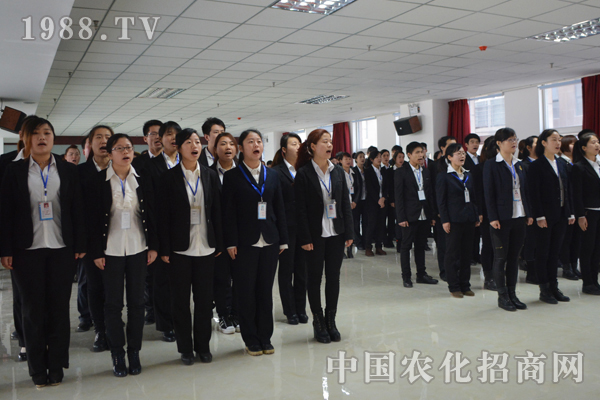 塑造堅不可摧的狼性團隊