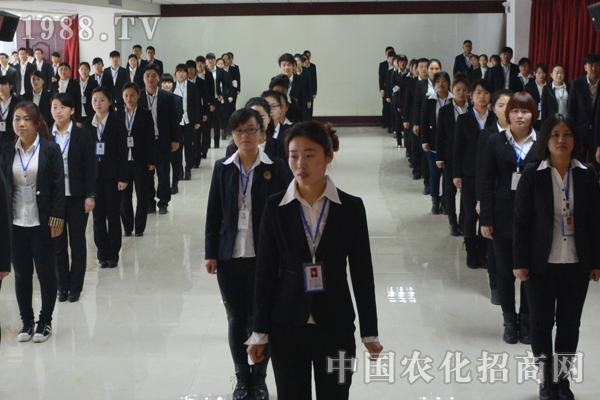 團隊協作是雄鷹之翅