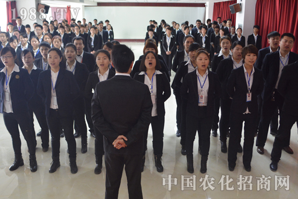完美的團隊可以成就一個完美的自己