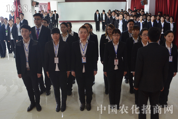 團結(jié)的隊伍才是團隊